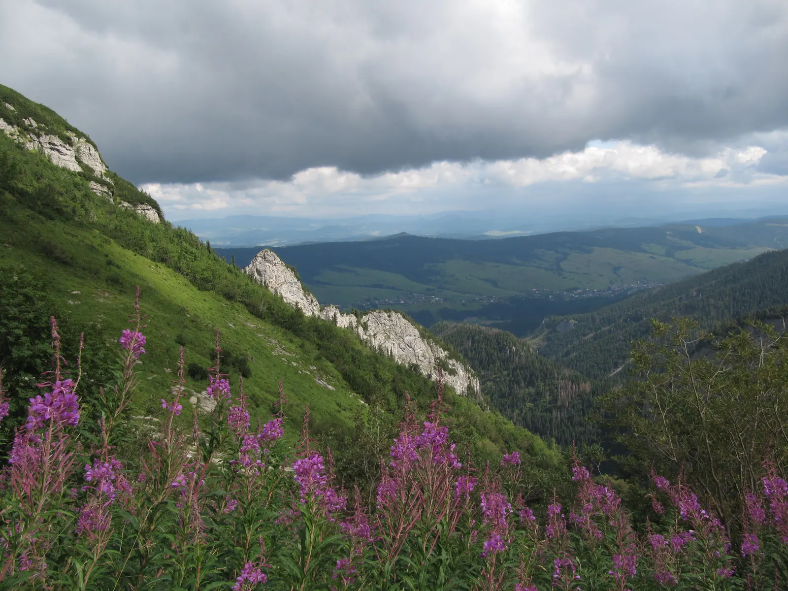 Monkova dolina: vápencové bradlá a lúky s kvetmi pod Ždiarskou vidlou